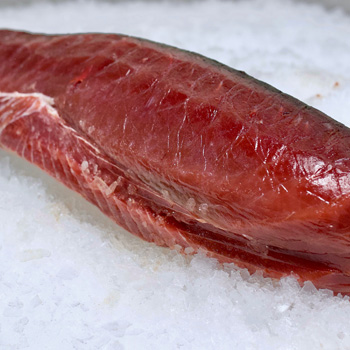 wholesale fish suppliers near me